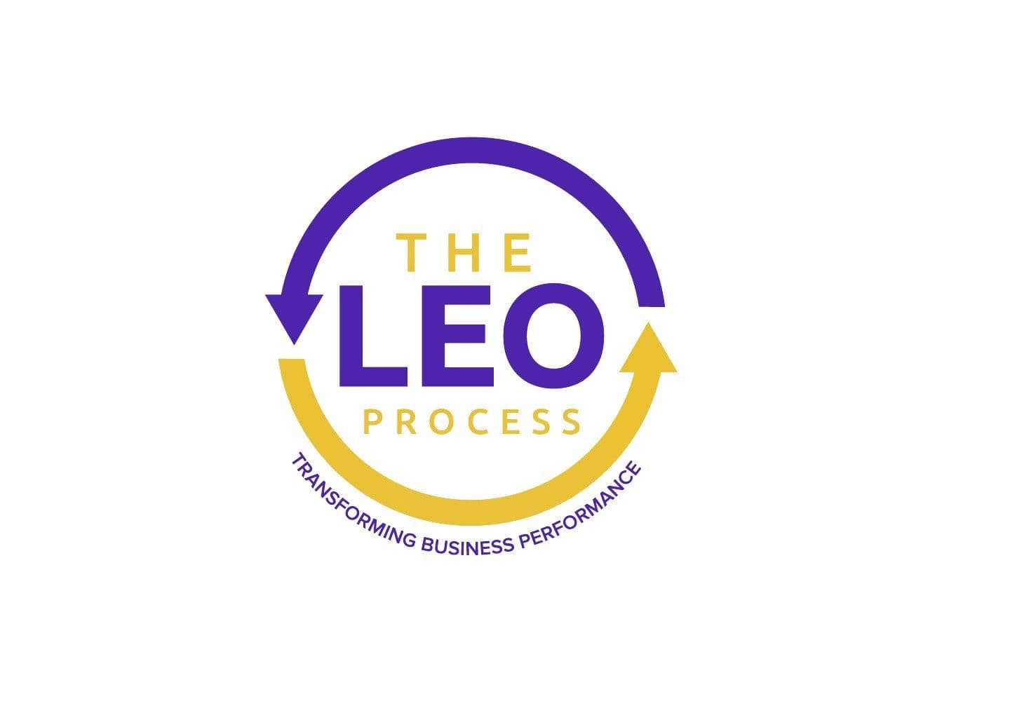 LEO PROCESS