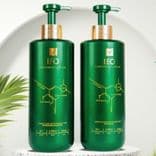 Cặp Gội Xả Prosee LEO Green Dành Cho Tóc Bết ,Gàu,Dầu Nhờn (Algae Anti Dandruff and Refreshing) 750m