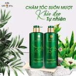 Cặp Gội Xả Prosee LEO Green Dành Cho Tóc Bết ,Gàu,Dầu Nhờn (Algae Anti Dandruff and Refreshing) 750m