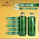 Cặp Gội Xả Prosee LEO Green Dành Cho Tóc Bết ,Gàu,Dầu Nhờn (Algae Anti Dandruff and Refreshing) 750m